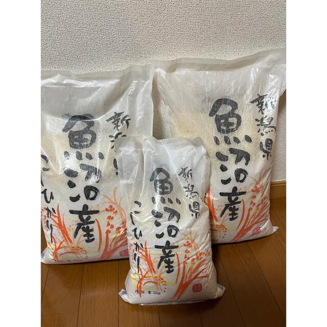 shop｜ラクマ　定番　みちゃ's　魚沼産コシヒカリ12kgの通販　by