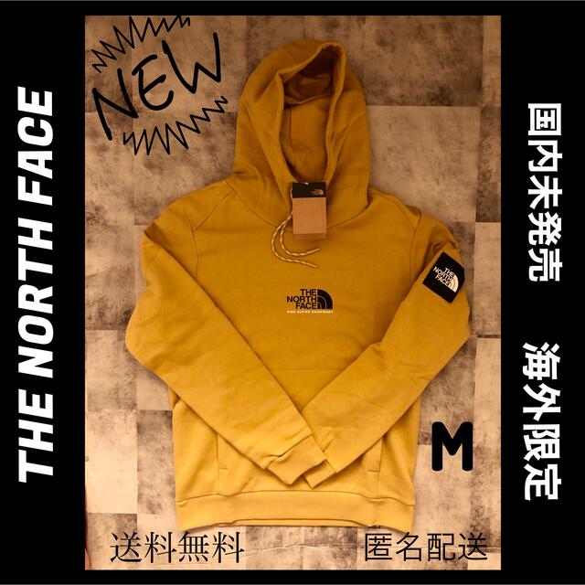 海外限定 THE NORTH FACE BOX LOGO 長袖 ケルプタン