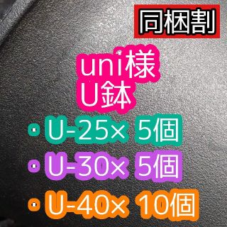 uni様 U鉢(その他)