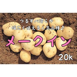 茨城県産無農薬メークイン20k(箱込み)(野菜)