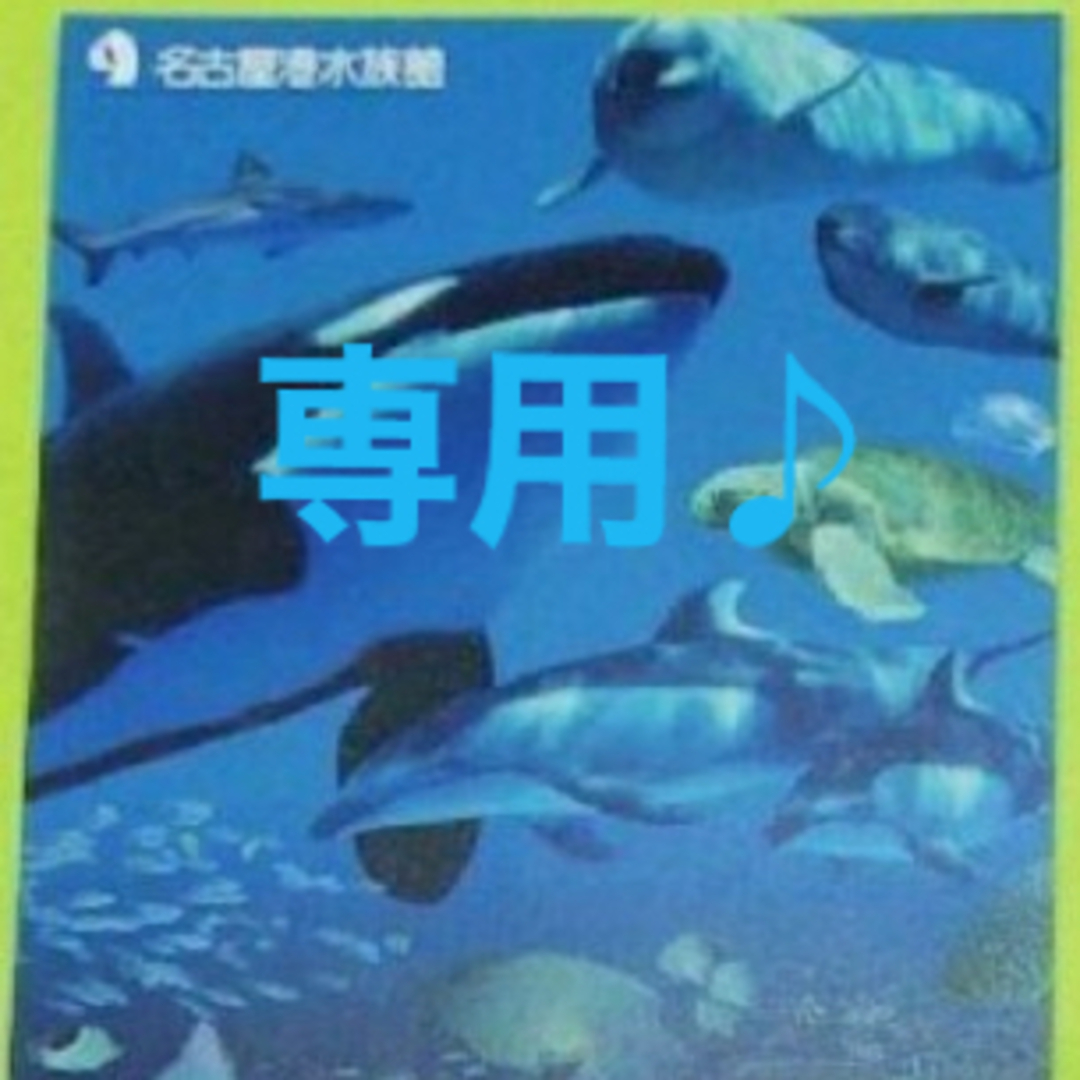 【mouchanさま専用】☆名古屋港水族館 小・中学生１枚 チケットの施設利用券(水族館)の商品写真