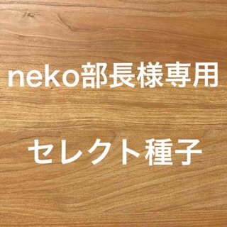 neko部長様専用　セレクト種子　8袋(野菜)