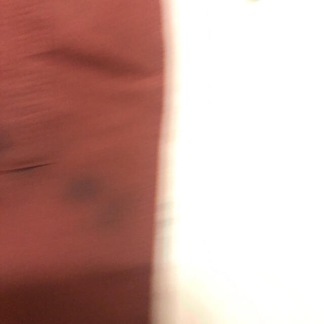 セブンイレブン　シルバーウィークセール メンズのトップス(Tシャツ/カットソー(半袖/袖なし))の商品写真