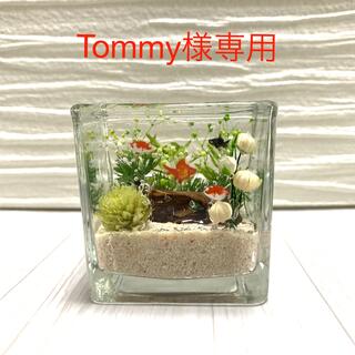 Tommy様専用(その他)