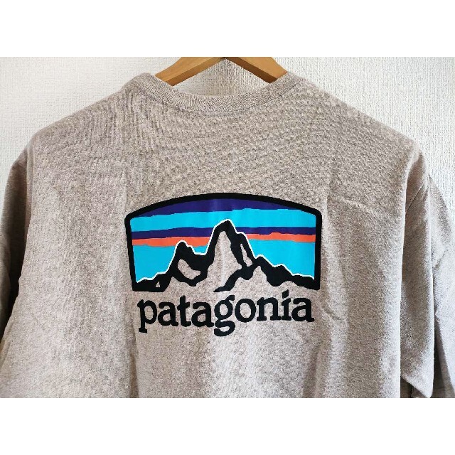 patagonia(パタゴニア)のL 新品正規品パタゴニア フィッツロイ ホライゾンズ レスポンシビリティー メンズのトップス(Tシャツ/カットソー(半袖/袖なし))の商品写真