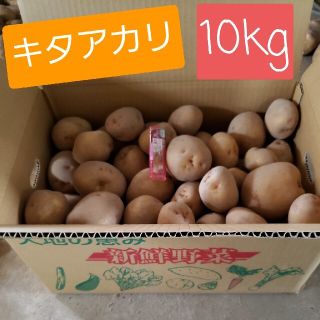 じゃがいも　きたあかり10ｋｇ無農薬(野菜)