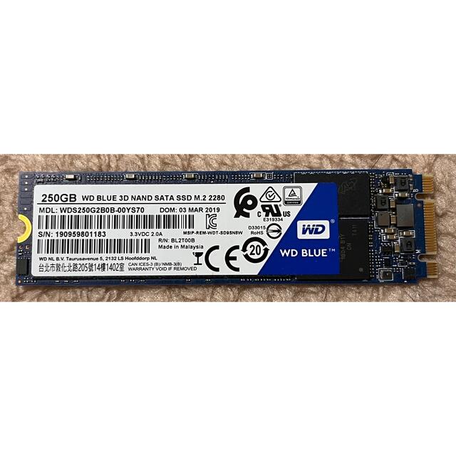 WD(Western Digital) M.2 SATA SSD 250GB スマホ/家電/カメラのPC/タブレット(PCパーツ)の商品写真