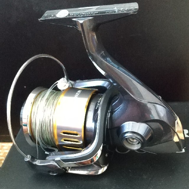 SHIMANO 15ツインパワーSW8000HG - フィッシング