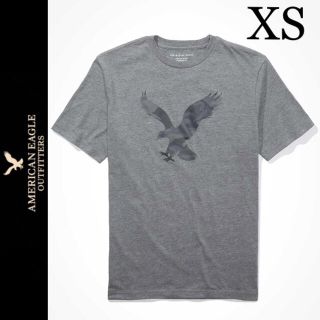 アメリカンイーグル(American Eagle)の新品タグ付き☆アメリカンイーグル半袖ＴシャツXSホリスターエアロポステール(Tシャツ/カットソー(半袖/袖なし))