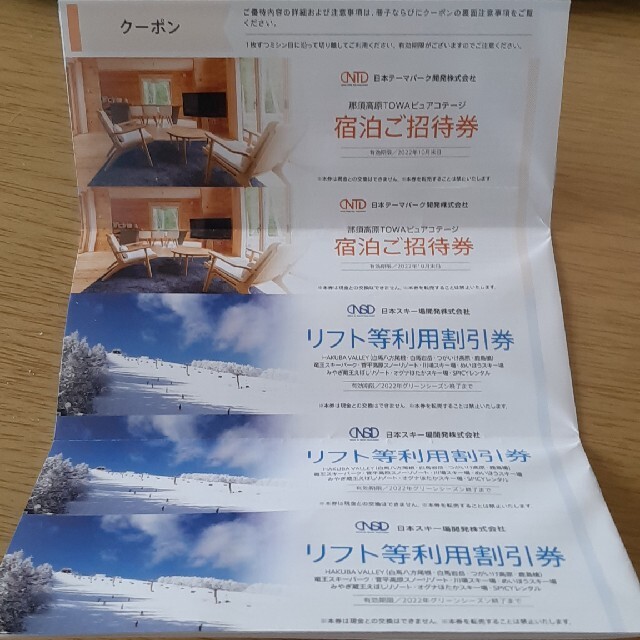 日本駐車場開発株式会社　株主優待一冊 チケットの優待券/割引券(その他)の商品写真