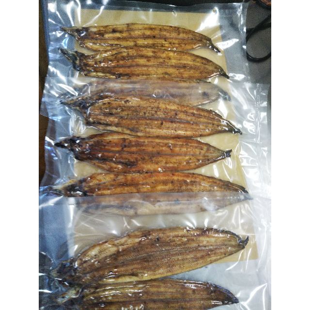 クルミパンさん専用高知県産4Pうなぎ炭焼き（素焼き）８本冷凍真空発送
