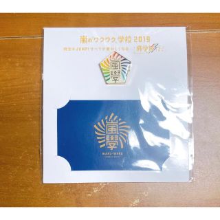 アラシ(嵐)のワクワク学校 グッズ ピンバッジ(アイドルグッズ)