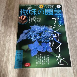 NHK 趣味の園芸 2022年 06月号(その他)