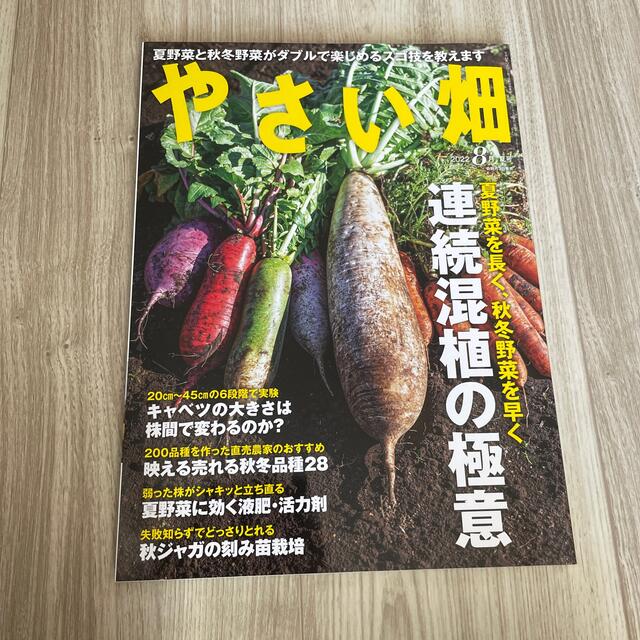 やさい畑 2022年 08月号 エンタメ/ホビーの雑誌(生活/健康)の商品写真