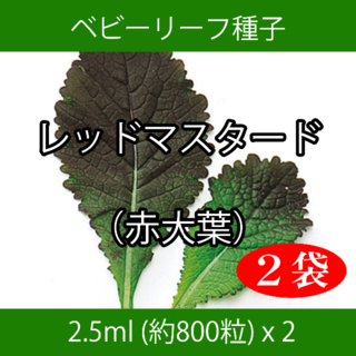 ベビーリーフ種子 B-33 レッドマスタード（赤大葉） 2.5ml x 2袋(野菜)