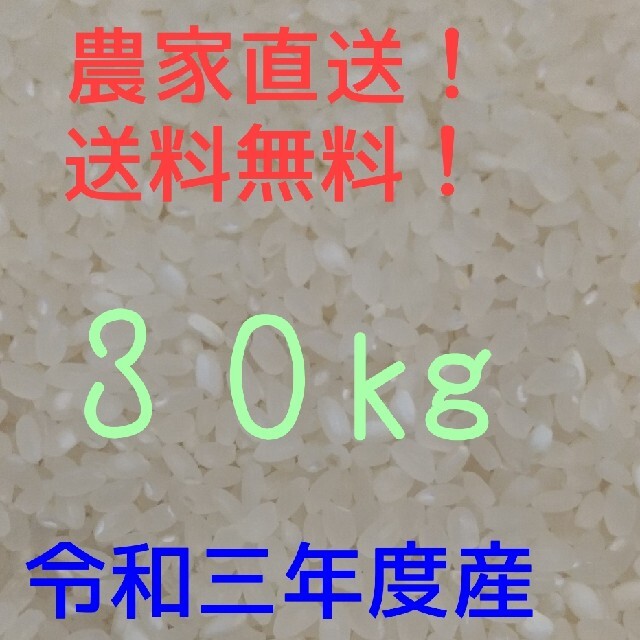 食品愛媛県産お米３０キロヒノヒカリ