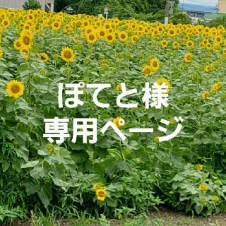 ぽてと様専用ページ(野菜)