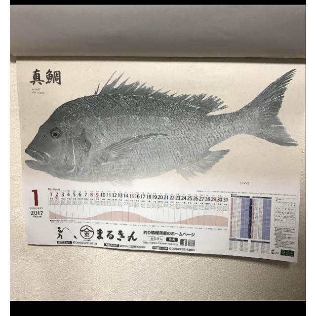 シマノ2023年☆魚拓カレンダー☆店名印無 :2022:マキオズ !店 通販 ...