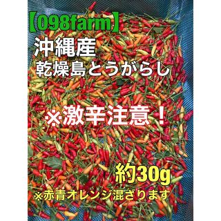 沖縄産　島唐辛子　島とうがらし　約30g 乾燥　激辛(野菜)