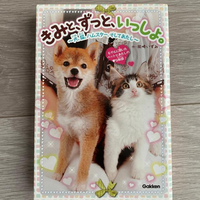 学研(ガッケン)の3冊まとめ売り　きみと、ずっと、いっしょ。 犬、猫、ハムスタ－、そしてあたし エンタメ/ホビーの本(絵本/児童書)の商品写真