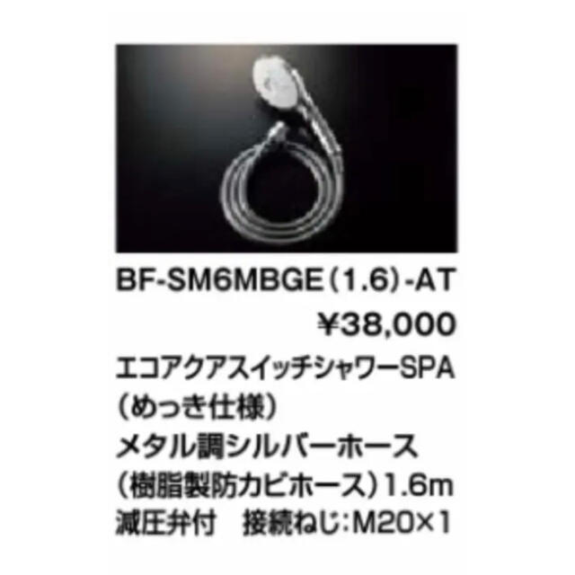 リクリル ウルトラファインバブル BF-SM6MBGE エコアクアシャワーSPA