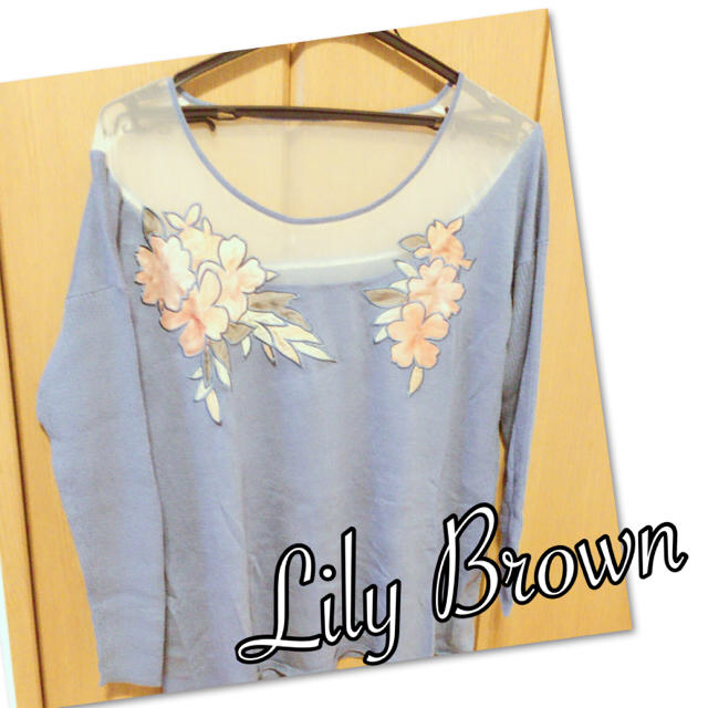 Lily Brown(リリーブラウン)のLilyBrown★リリーブラウン★花刺繍透けニット★アイスブルー レディースのトップス(ニット/セーター)の商品写真