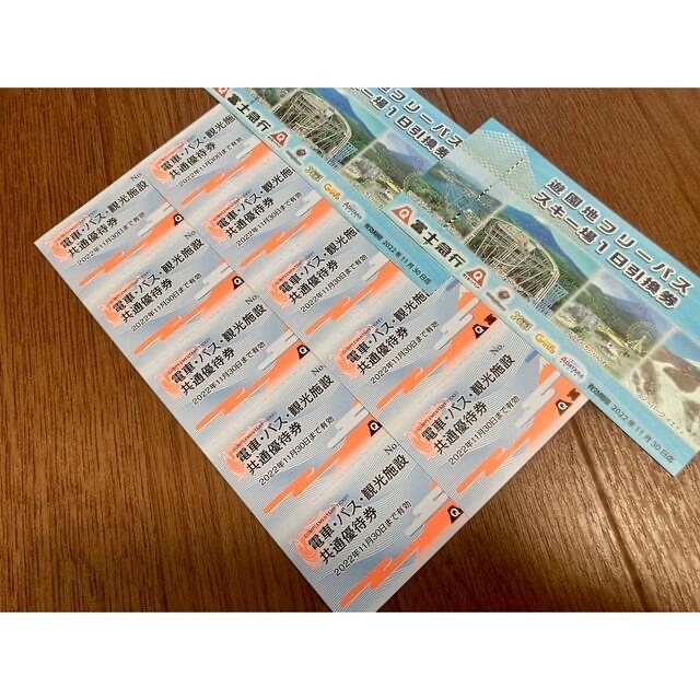 富士急ハイランド フリーパス4枚 hotelvillaespanola.com