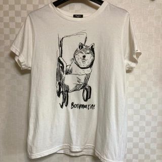 マーブル(marble)のmarbleSUD 柴犬　Ｔシャツ　マーブルシュッド(Tシャツ(半袖/袖なし))