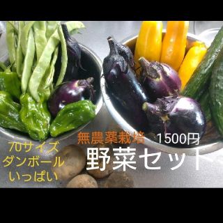 野菜セット　無農薬栽培(野菜)