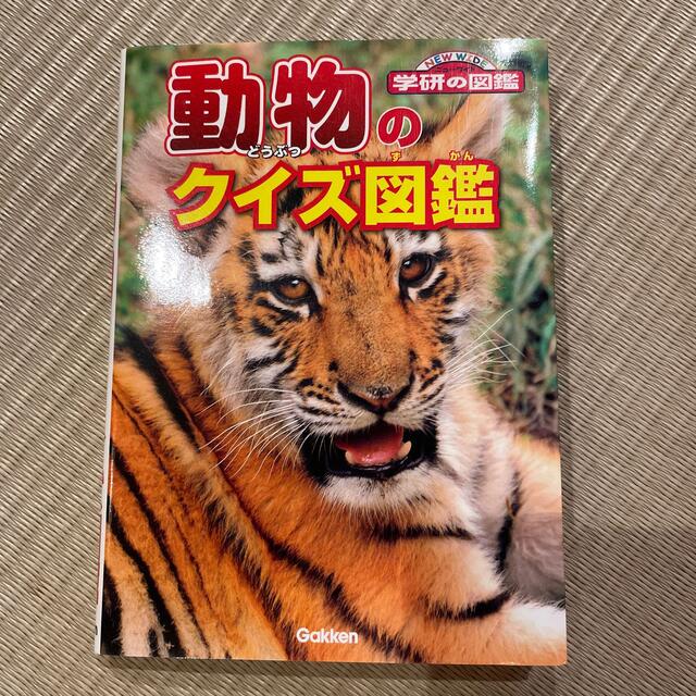 動物のクイズ図鑑 エンタメ/ホビーの本(絵本/児童書)の商品写真