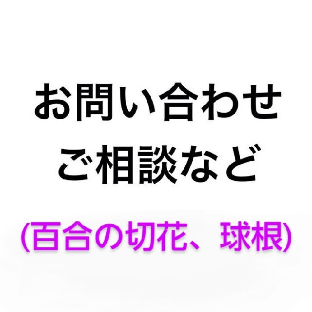 百合の切り花、球根などのご相談