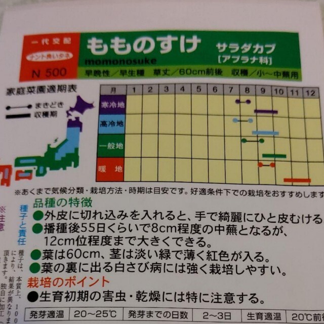 大人気 もものすけ 野菜種 カブ 家庭菜園 プランター 食品/飲料/酒の食品(野菜)の商品写真