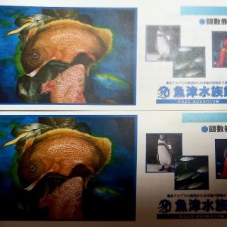 魚津水族館　一般入館券2枚セット(水族館)