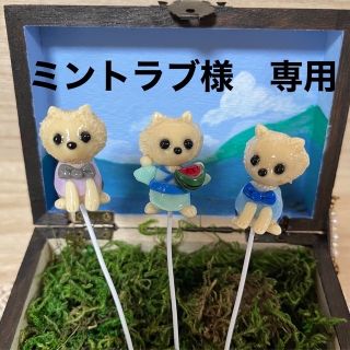 〜そのまま飾れる〜多肉植物寄せ植え(ハンドメイド)(その他)