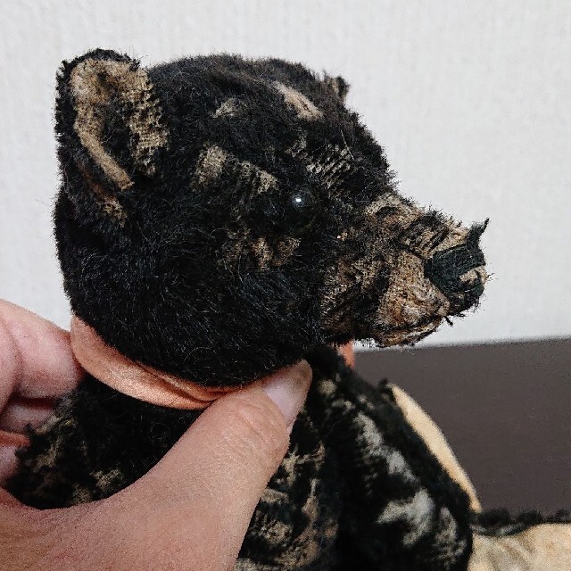 海外作家 フォーゲットミーノット 超熱 www.toyotec.com