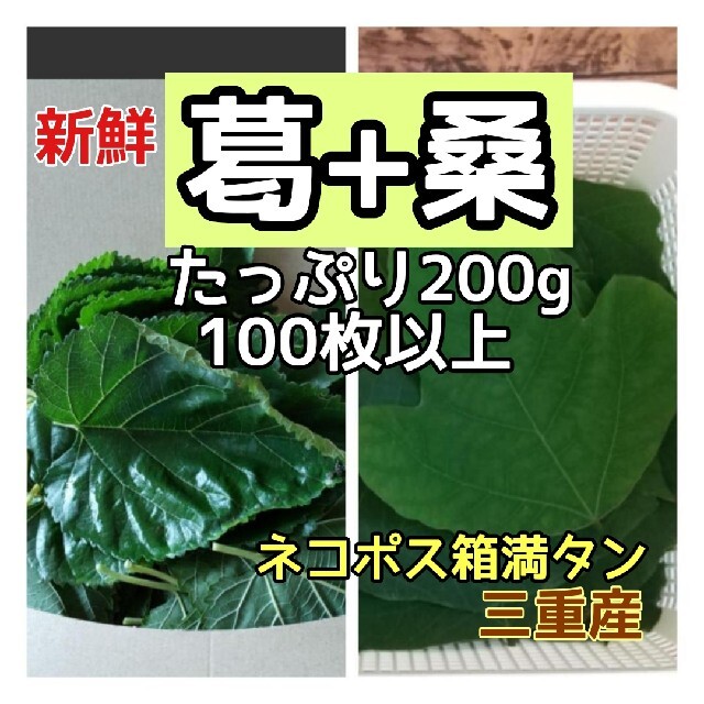 新鮮 桑葛の生葉 箱いっぱい200g+オマケ付♪ ウサギ リクガメ 三重農薬無の通販 by 自然菜園's shop|ラクマ