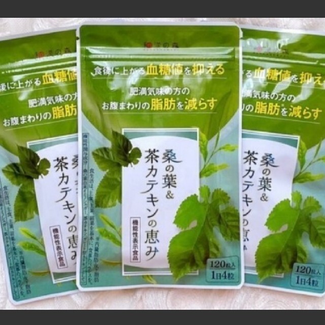 迅速発送 和漢の森 桑の葉&茶カテキンの恵み 120粒入り×3袋 3ヶ月分