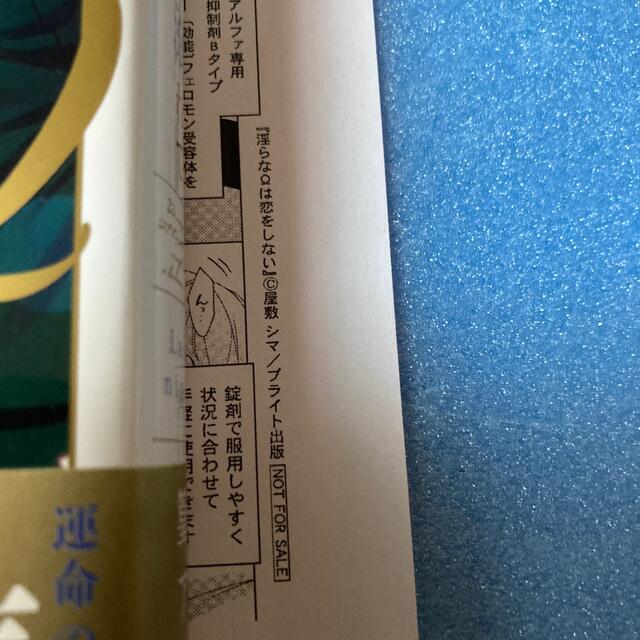 角川書店(カドカワショテン)のエリートΩは夜に溺れて　ｓｉｄｅ　Ω エンタメ/ホビーの漫画(ボーイズラブ(BL))の商品写真