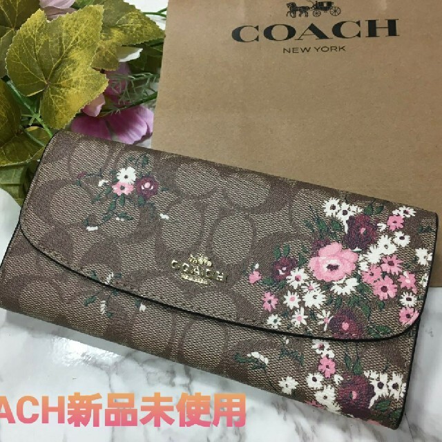 即納最大半額 COACH コーチ シグネチャー×ピンクスモールフラワー 長