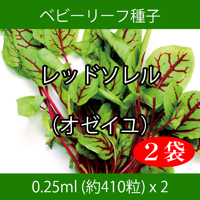 ベビーリーフ種子 B-50 レッドソレル（オゼイユ） 0.25ml x 2袋 食品/飲料/酒の食品(野菜)の商品写真