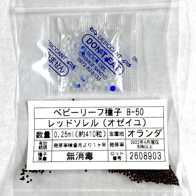 ベビーリーフ種子 B-50 レッドソレル（オゼイユ） 0.25ml x 2袋 食品/飲料/酒の食品(野菜)の商品写真