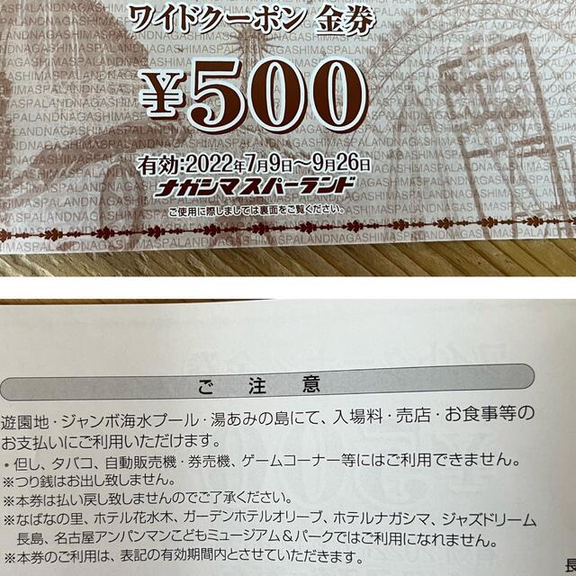 長島ジャンボ海水プール　ワイドクーポン チケットの施設利用券(プール)の商品写真