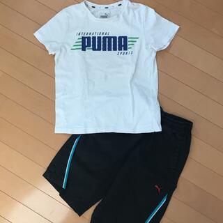 プーマ(PUMA)のプーマ  140 Tシャツとハーフパンツ のセット(Tシャツ/カットソー)