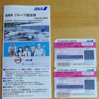 エーエヌエー(ゼンニッポンクウユ)(ANA(全日本空輸))のANA株主優待券2枚と優待券冊子1冊(その他)