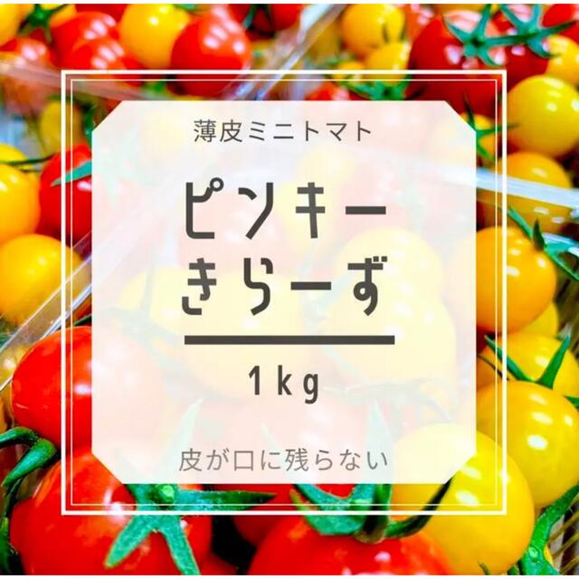 薄皮で食べやすい‼️ミニトマト❗️ピンキーときら〜ず 食品/飲料/酒の食品(野菜)の商品写真