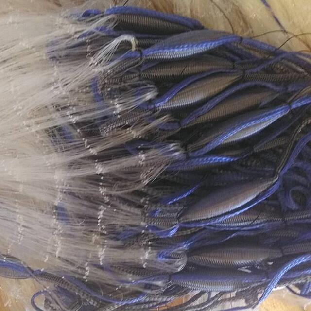 漁網1反送料無料!約2.0寸高さ約2m長さ約25m 刺し網 刺網 漁具 漁網1反送料無料!約2.0寸高さ約2m長さ約25m 刺し網 刺網 漁具