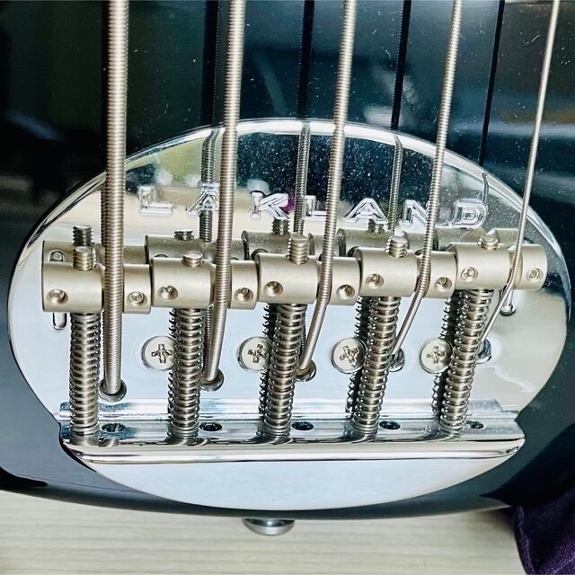 最高の品質の ESP - 5弦 エレキベース 専用ケース付属 (Black) SK-5CL