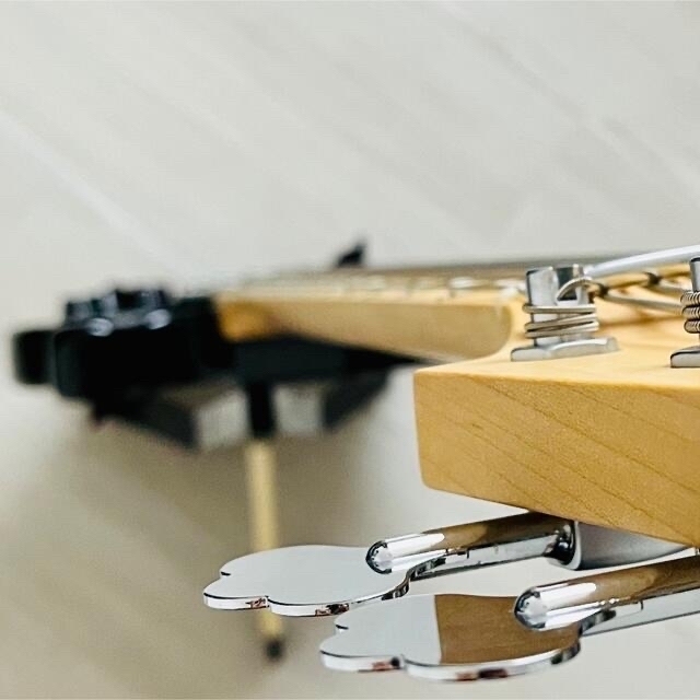 最高の品質の ESP - 5弦 エレキベース 専用ケース付属 (Black) SK-5CL