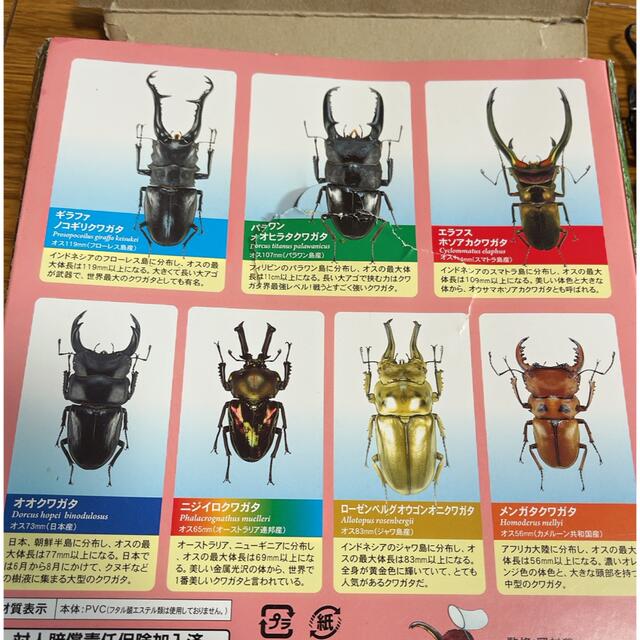 世界のカブトムシ　クワガタ　フィギア　12体セット エンタメ/ホビーのフィギュア(その他)の商品写真