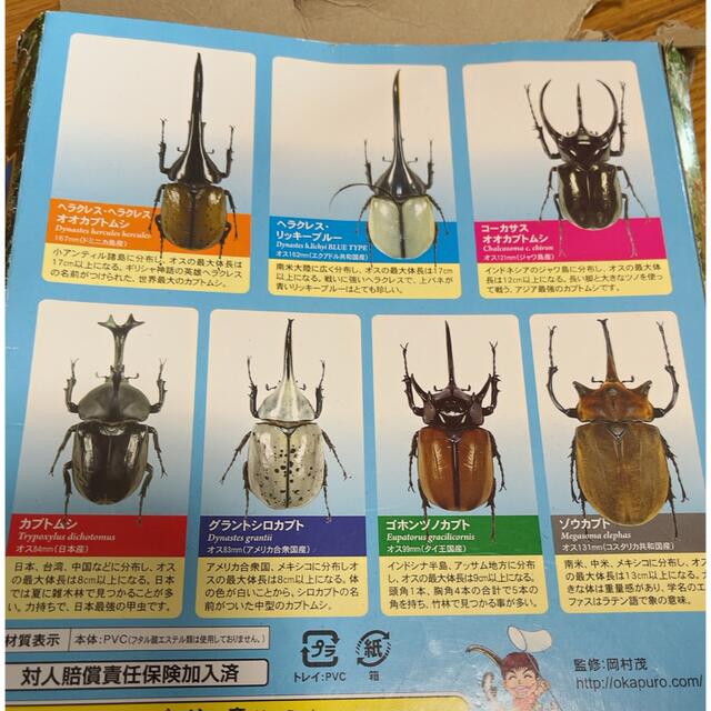 世界のカブトムシ　クワガタ　フィギア　12体セット エンタメ/ホビーのフィギュア(その他)の商品写真